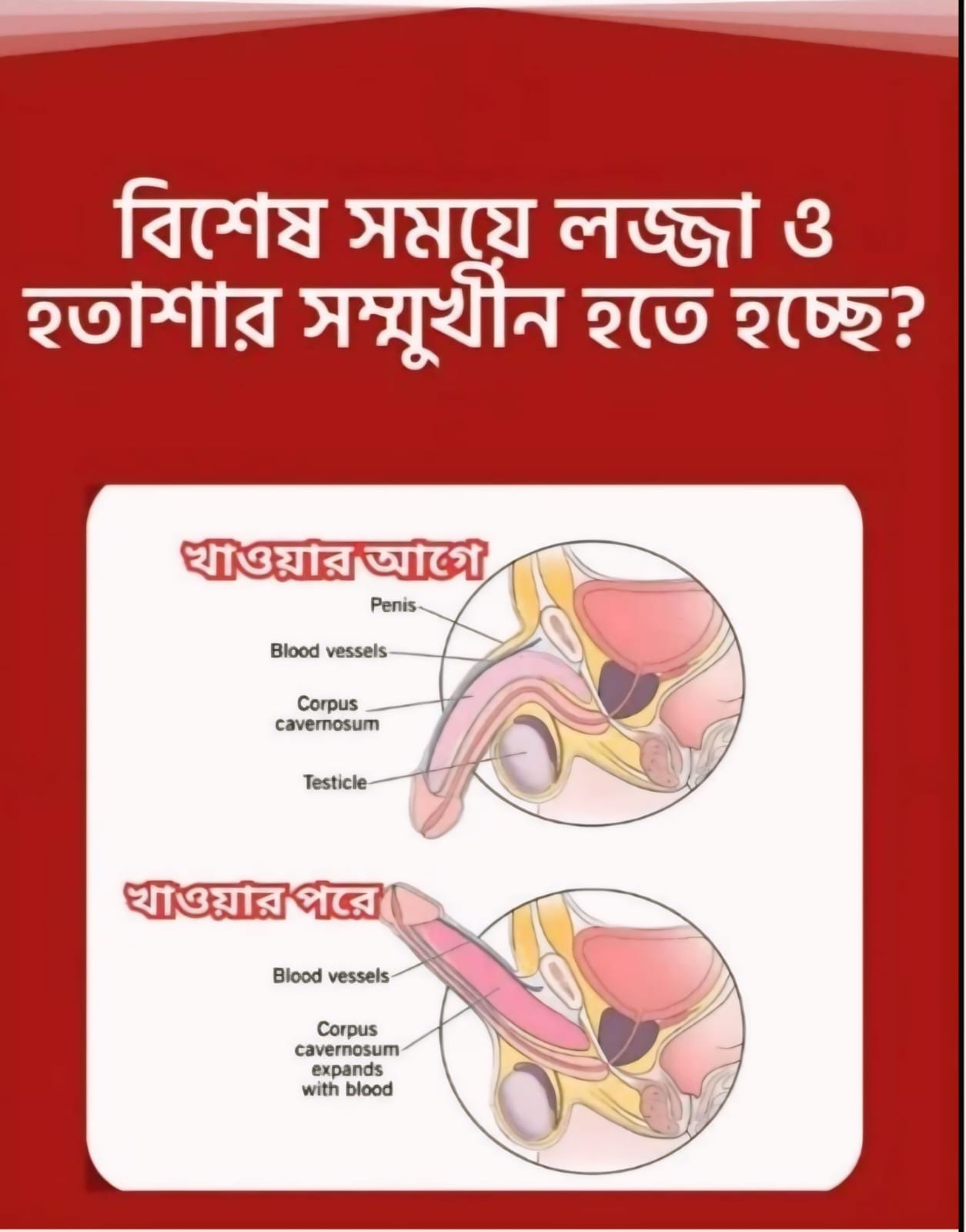 শক্তি পাওয়ার প্রাশ
